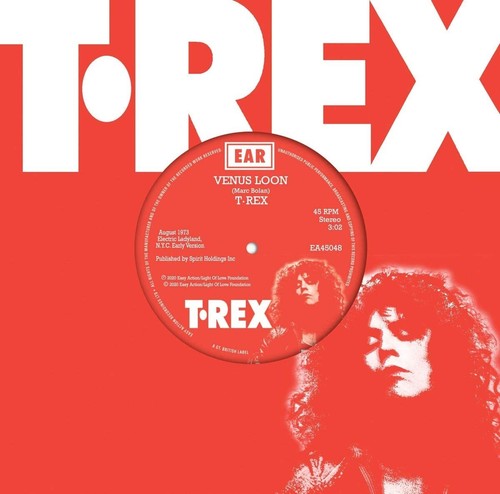 Rex venus loon till - venus, dawn