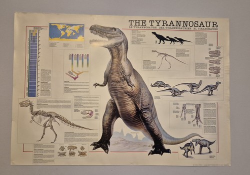 Vintage 1993 tyrannosaur - 1993,